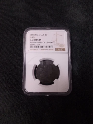 1802 Large Cent No Stems S-231 NGC AG Details (Environmental Damage)
