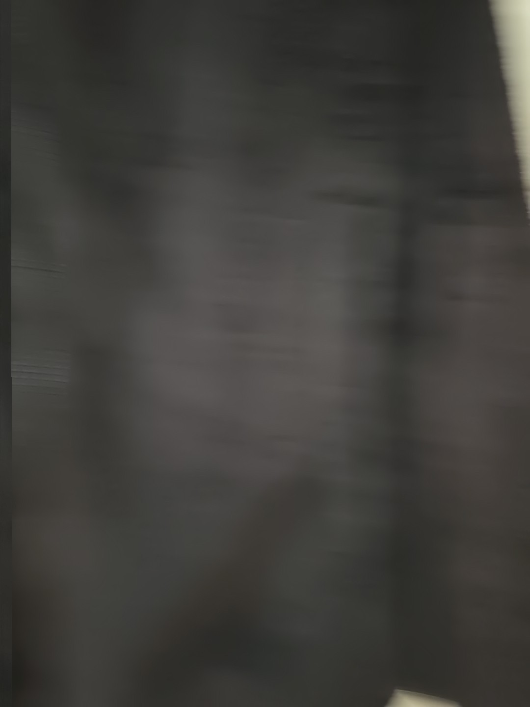 Picture 5 of 13