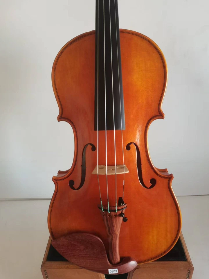 Violín 4/4 Stradi Modelo 1 PC Arce Llamado Parte Superior Abeto Tallado a Mano K0209 Foto 3 de 4