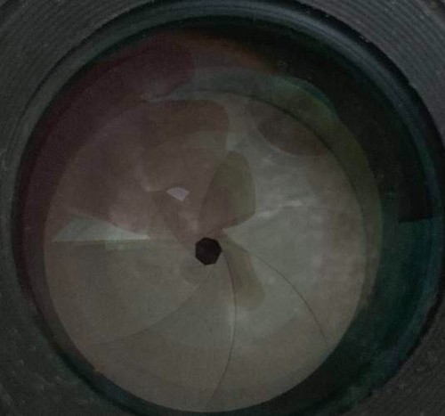 Nikon Tele AF Micro Nikkor 105mm f/2.8D Autofokus Objektiv, Near Mint - Bild 5 von 8