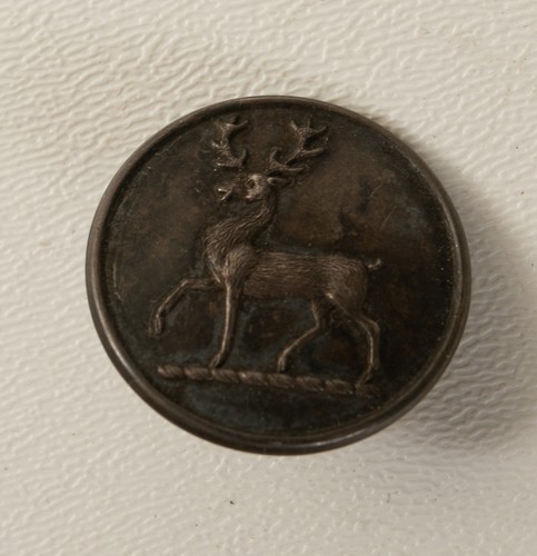 Lot Metal Buttons Doughty & Co London (P3L-1/JSF6) Hertfordshire Militia Livery - Picture 7 of 13