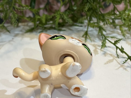 Littlest Pet Shop 852 LPS Authentic Shorthair Cheetah Cat Green Eyes Moon - Picture 7 of 7