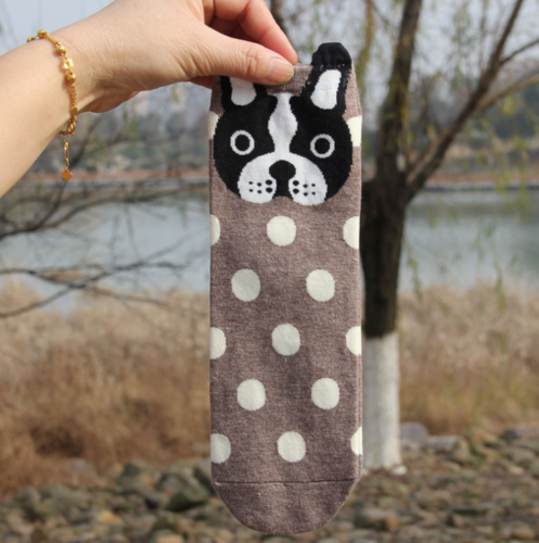 5 Pairs Newly Design Cute Cotton Jacquard Fruit Socks Women Lovely Animal Cat Fo - Picture 28 of 36