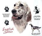 English Setter Dog History New T-Shirts