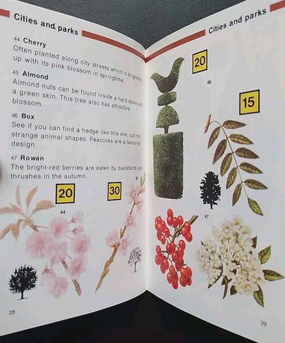 Find 50 Trees • Hamlyn Paperback • (1st Edition, 1984). - Picture 18 of 20
