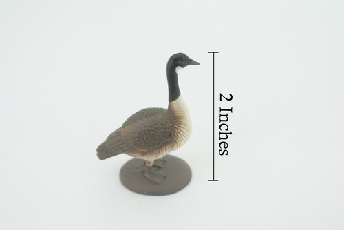 Canada Goose Spielzeug, handbemalter Gummi Vogel, realistisches Modell Geschenk, 2" SF13 B31 - Bild 2 von 7