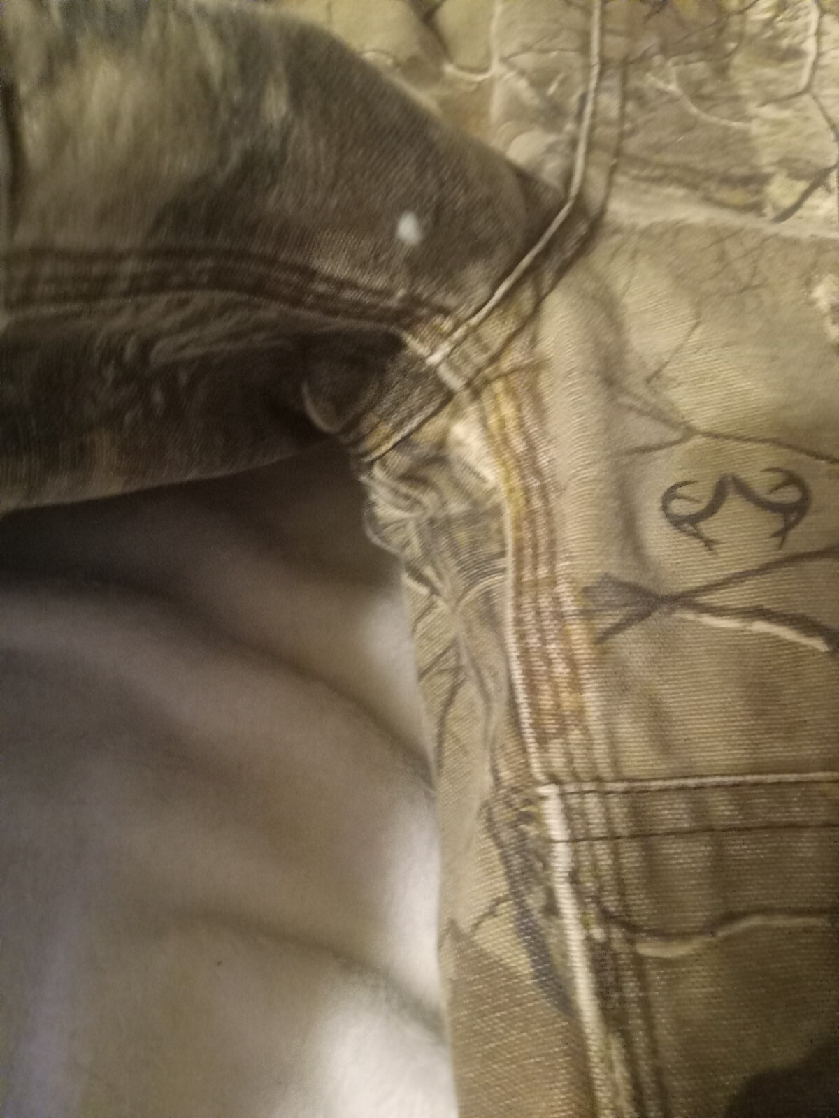 Picture 4 of 10