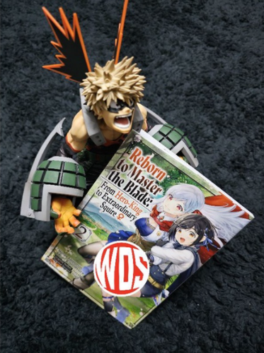 Reborn to Master the Blade From Hero King to Extraordinary Squire 1-4 Manga -DHL - Picture 3 of 6