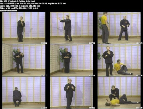 Home Study Course - Xing Yi Quan Mastery (DVDs + Certificates) - Picture 9 of 11