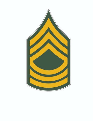 US Army Rank Insignia Flag Logo Emblem National Guard Vinyl Sticker - Picture 4 of 13