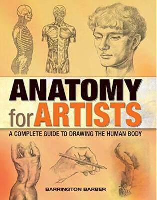 #ad Anatomy for Artists Paperback By Barrington Barber creator GOOD $4.88