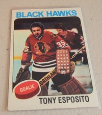 1975-76 Topps #240 Tony Esposito