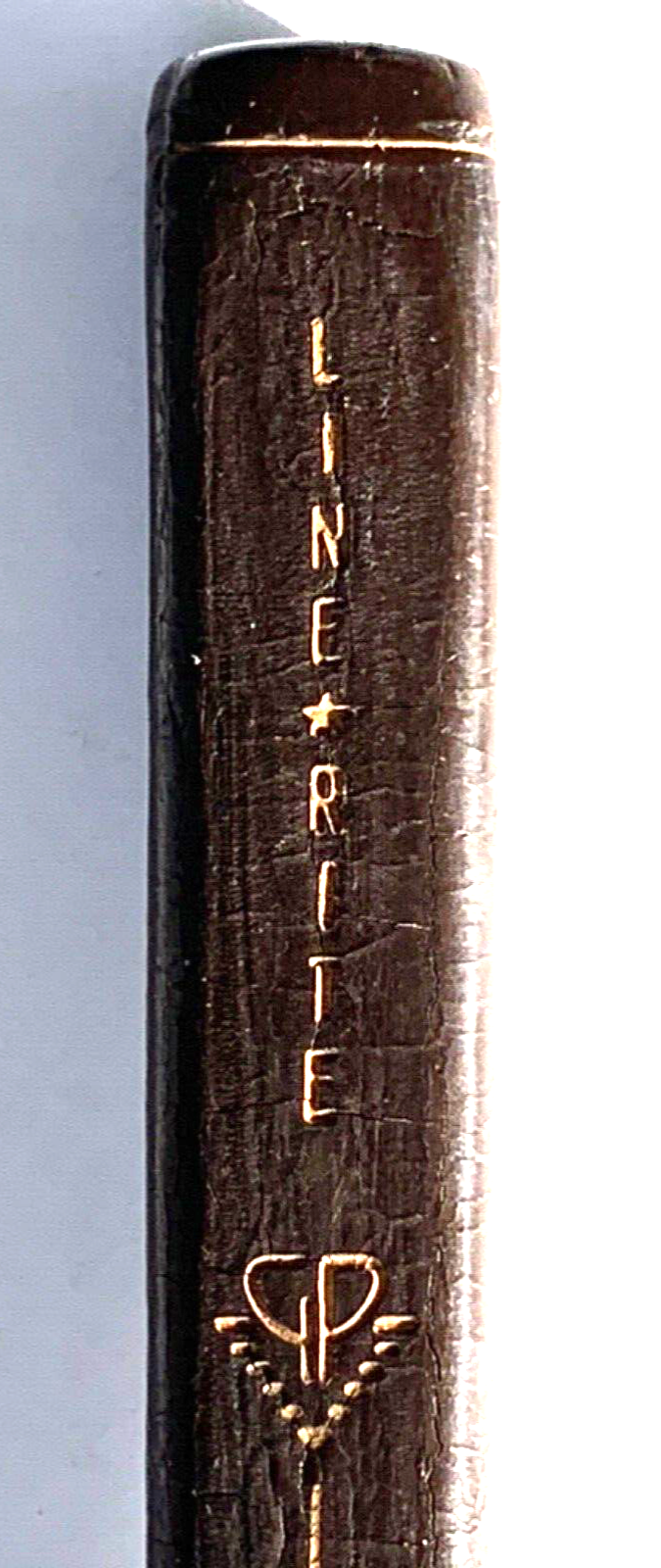 Picture 5 of 7