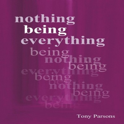 Nothing Being Everything Tony Parsons Paperback Open Secret Publi
