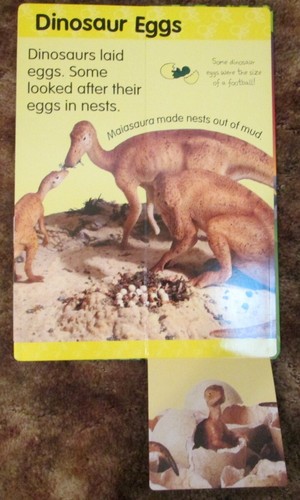 DINOSAURS (DK TALL AND LONG) Dinosaur Book, Hardback Children's Book, Learning - Picture 19 of 24