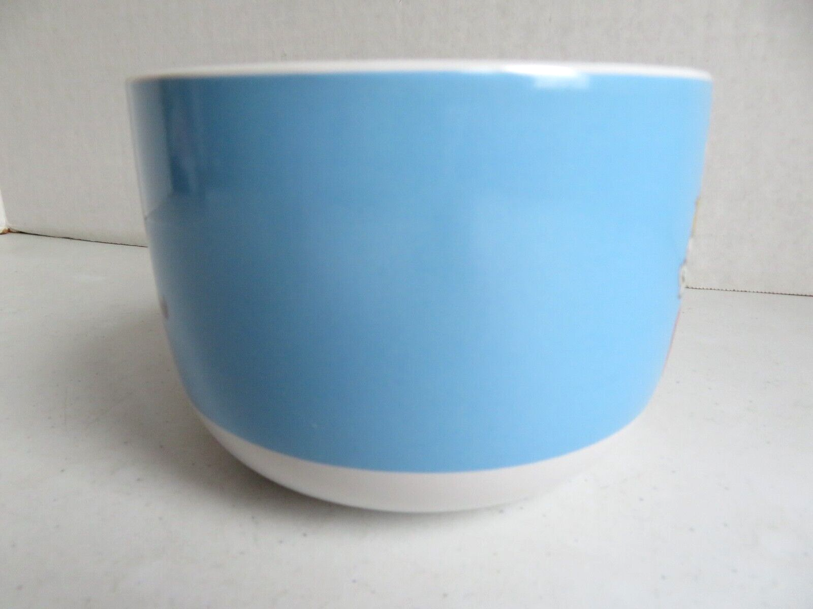 Foto 10 di 10