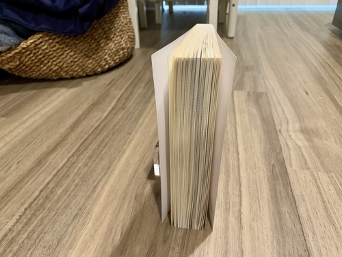 The Icarus Curse: How Western Democracies Derailed By Johan Van Overtveldt ARC - Picture 5 of 7