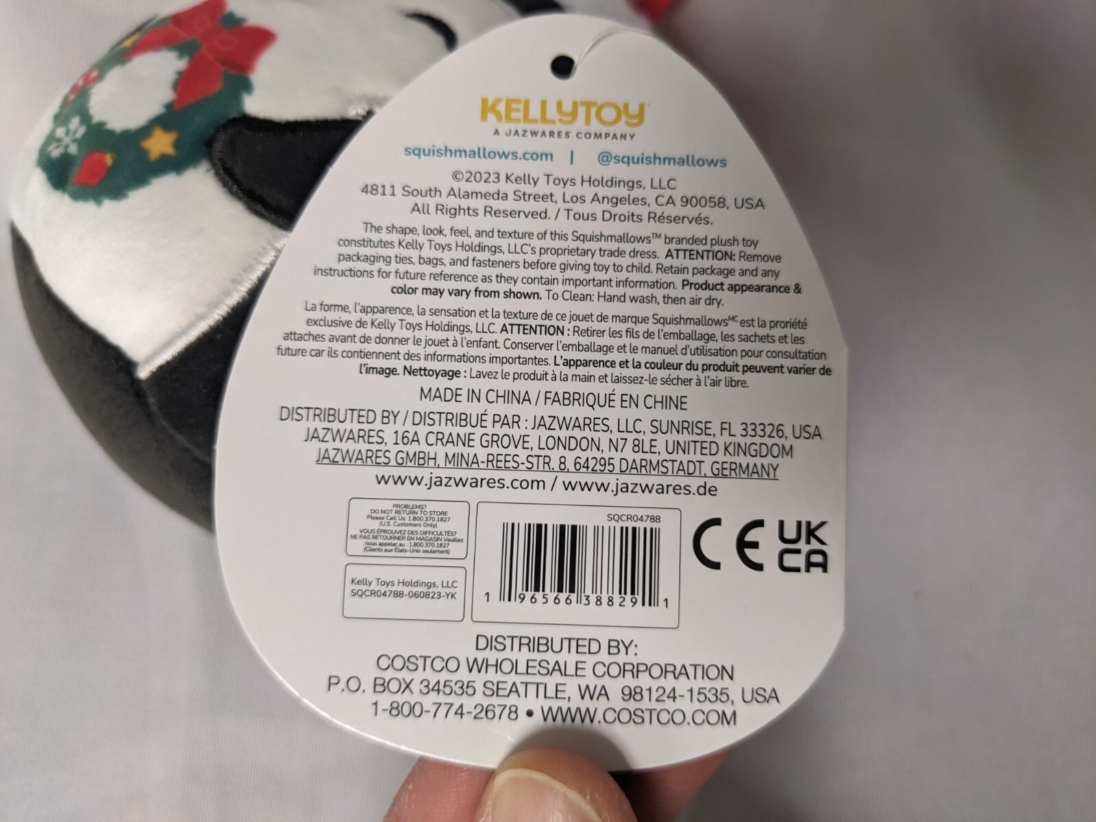 Foto 10 di 10