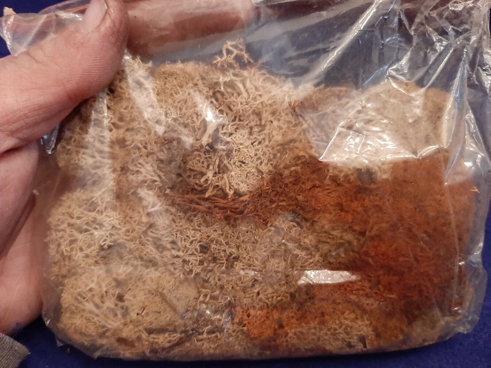 Picture 3 of 6
