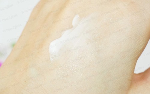 Sulwhasoo Essential Comfort Firming Cream 5ml 14EA Sulwhasoo Cream Lifting Cream - Picture 12 of 17