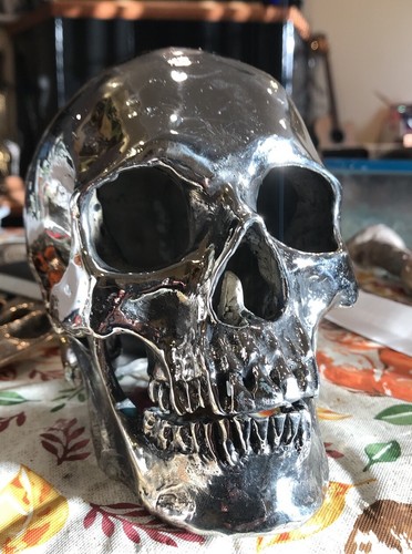 Silver Bronze Skull Sculpture By Chris Levatino - Picture 10 of 12
