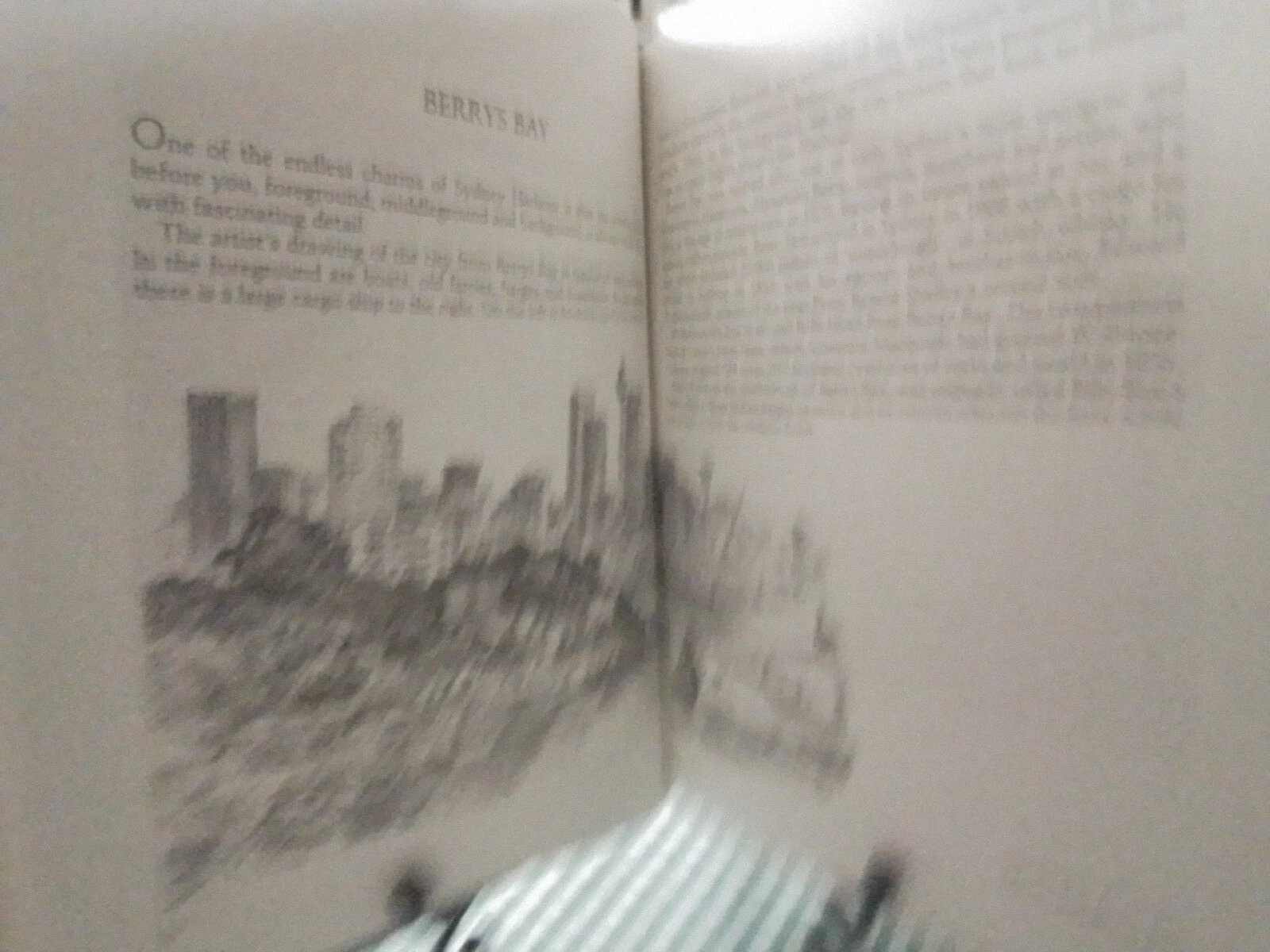 Picture 11 of 16