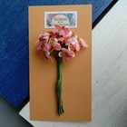 Foto 3 di 3
