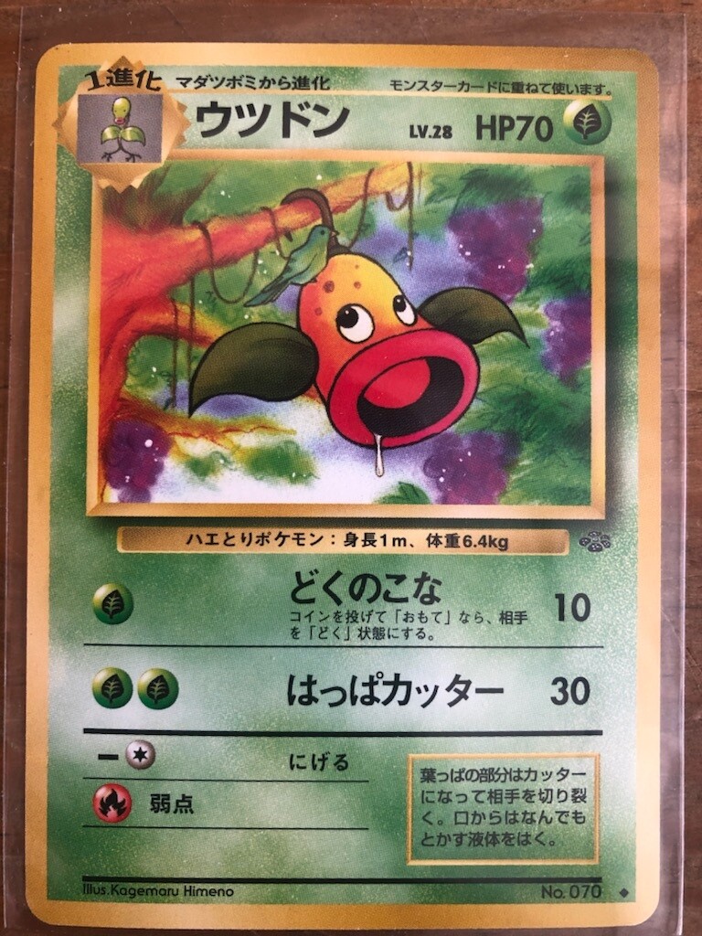 Foto 1 di 1