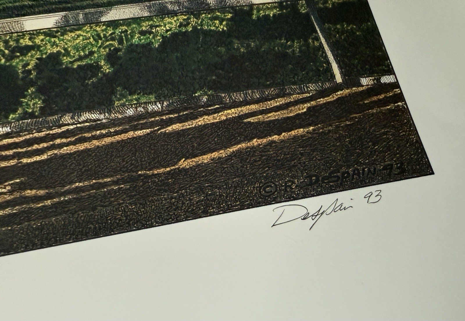 Picture 4 of 5