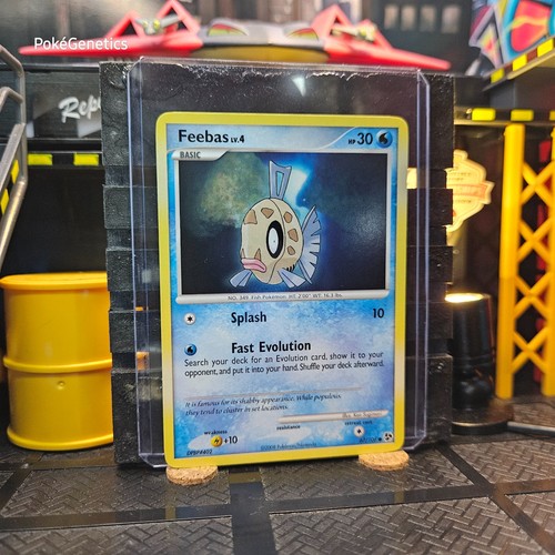 Feebas Great Encounters Pokémon TCG 67 Diamond & Pearl Common - Picture 3 of 6