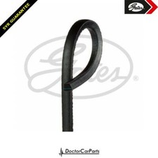 Alternator Belt Ribbed FOR ISUZU TROOPER I 87-&gt;91 2.8 Diesel UBS 4JB1-T 4JB1-TC