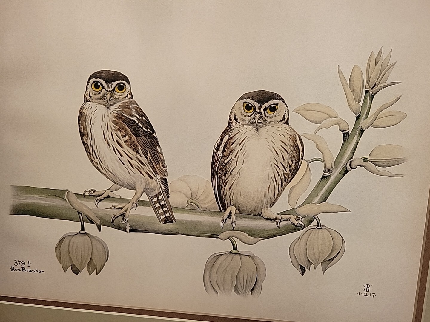 Picture 3 of 12