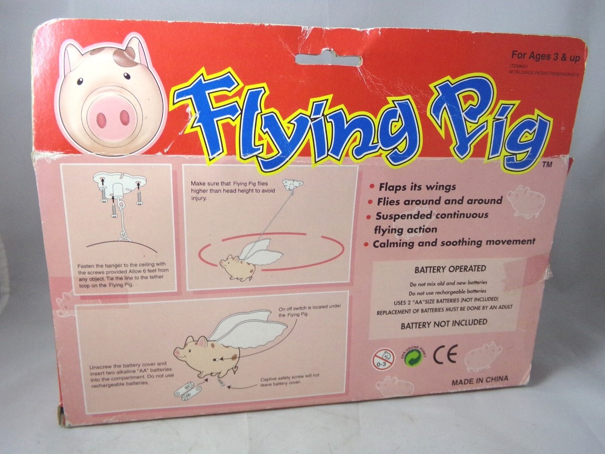 カユース フライング ピッグ2022 カユース フライング ピッグ 2022 : オルカ・インターナショナル