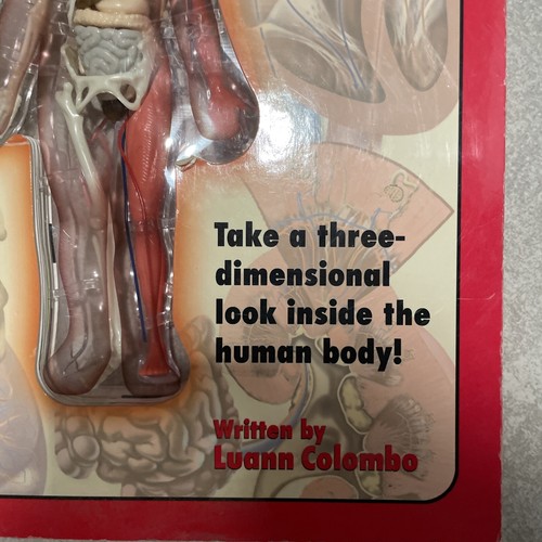 Uncover Human Body 3D Layered Book 2002 Silver Dolphin Becker & Mayer Books - Picture 2 of 13