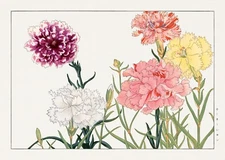 12090.Decoration Poster.Room wall.Home floral Asian design art.Japanese flowers