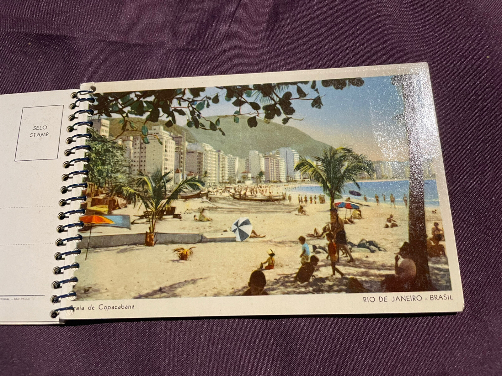 Picture 2 of 12