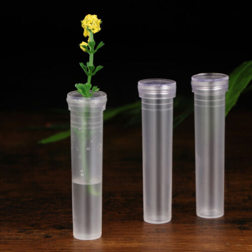 25 pièces tube à fleurs tubes à fleurs en plastique tube d'eau florale pour - Photo 1 sur 12