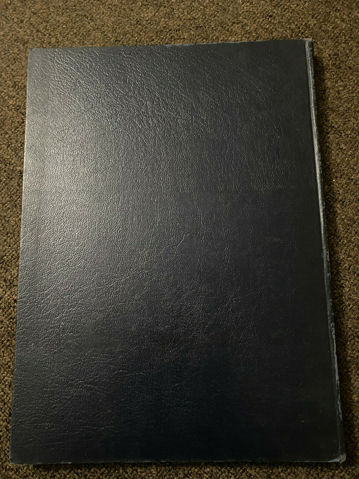 Picture 10 of 10