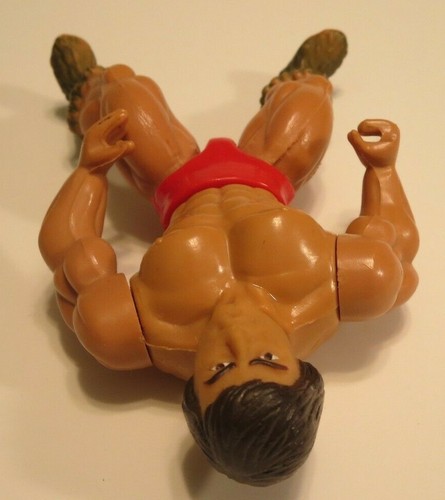 1985 SUPER SAM Wrestlers of the World Sparkle Action Figure AWA MOTU soft head - Picture 6 of 12