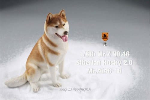 Mr.Z&JXK 1/6 Siberian Husky 2.0 Dog Pet Figure Huskie Animal Model Toy Kid Gift - 第 30/42 張圖片