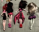 Foto 8 di 17