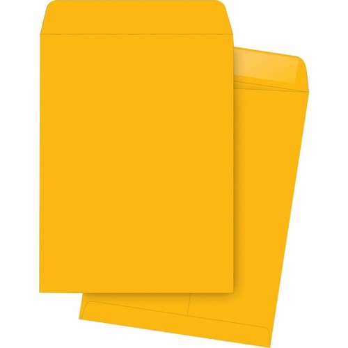 Business Source Catalog Envelope - Catalog - 10" X 15" - 28 Lb - Gummed - Kraft - Imagen 2 de 2