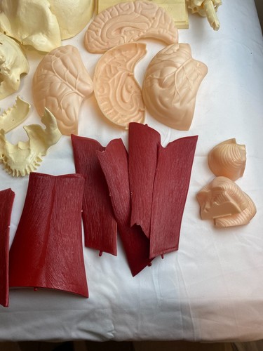 LA TESTA VISIBILE DI RENWAL SOLO PER RICAMBI KIT MODELLINO IN PLASTICA - Foto 4 di 9