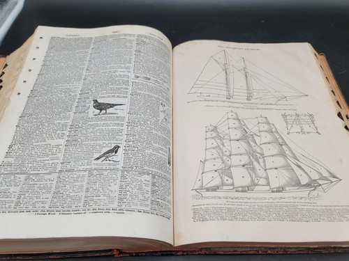 Webster’s New International Dictionary India Paper Edition 1927 - Picture 18 of 21