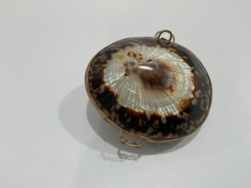 Muschelmuschel aufklappbar, Messingbesatz Vintage Pillen- oder Schmuckdose
