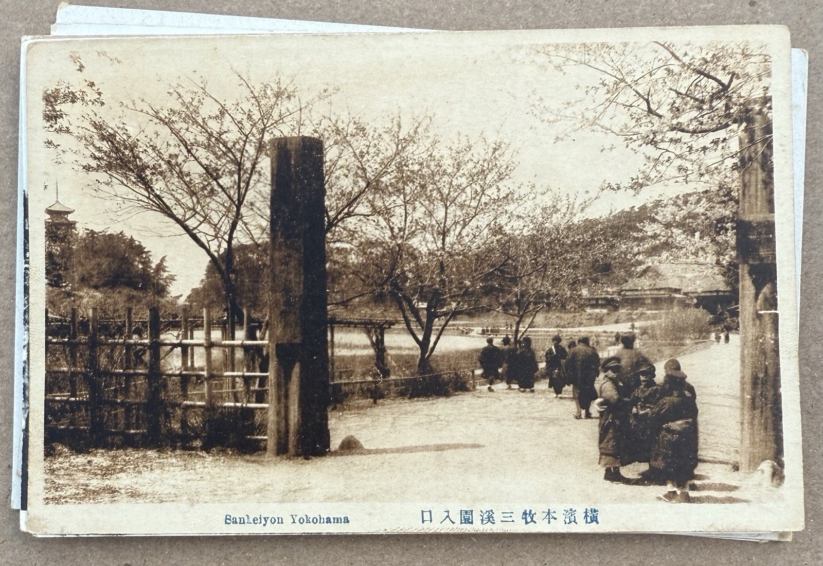 Picture 7 of 12