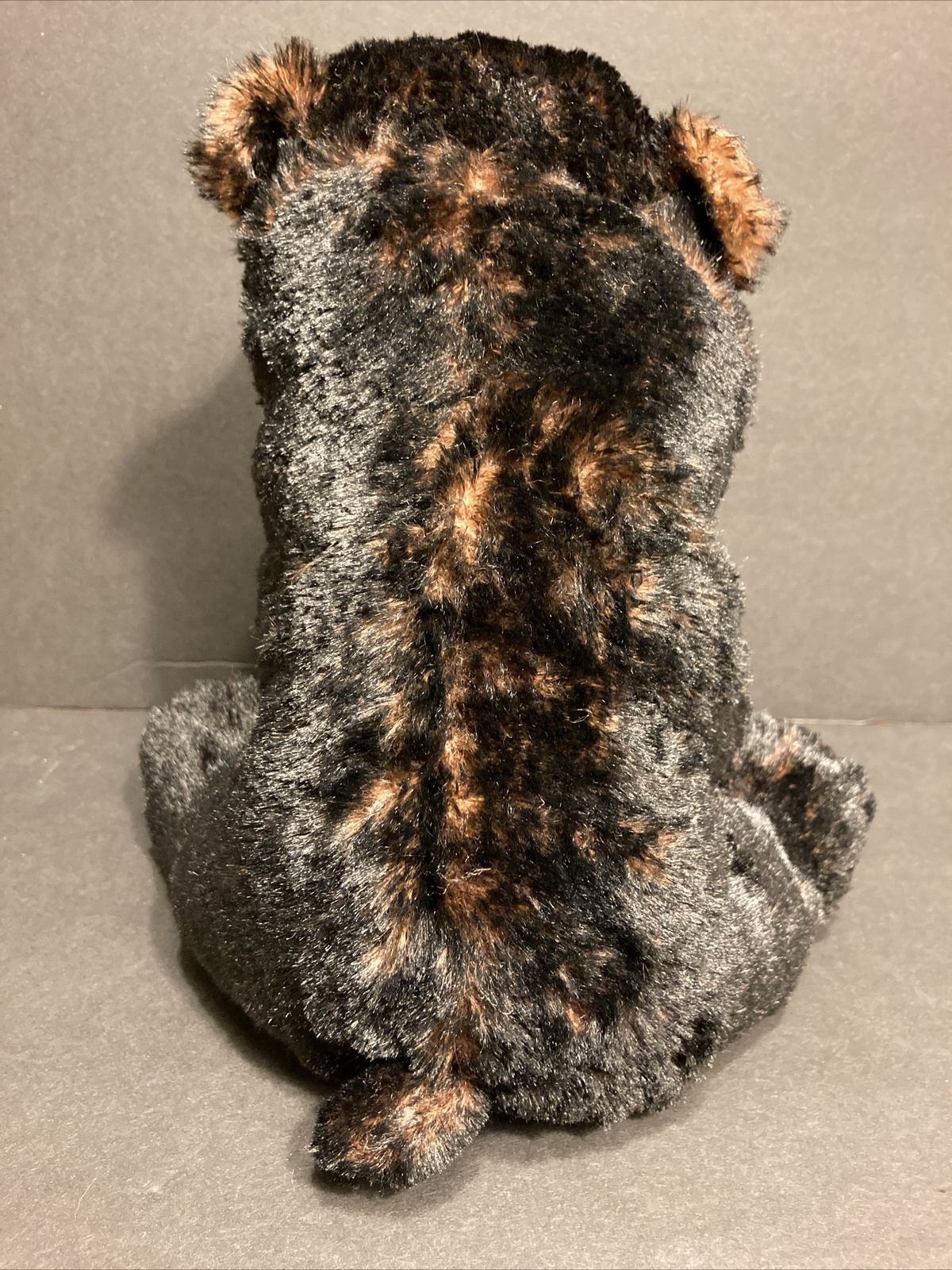 TY Beanie Baby 8” KODI Alaskan Kodiak Black Bear Plush Stuffed Animal