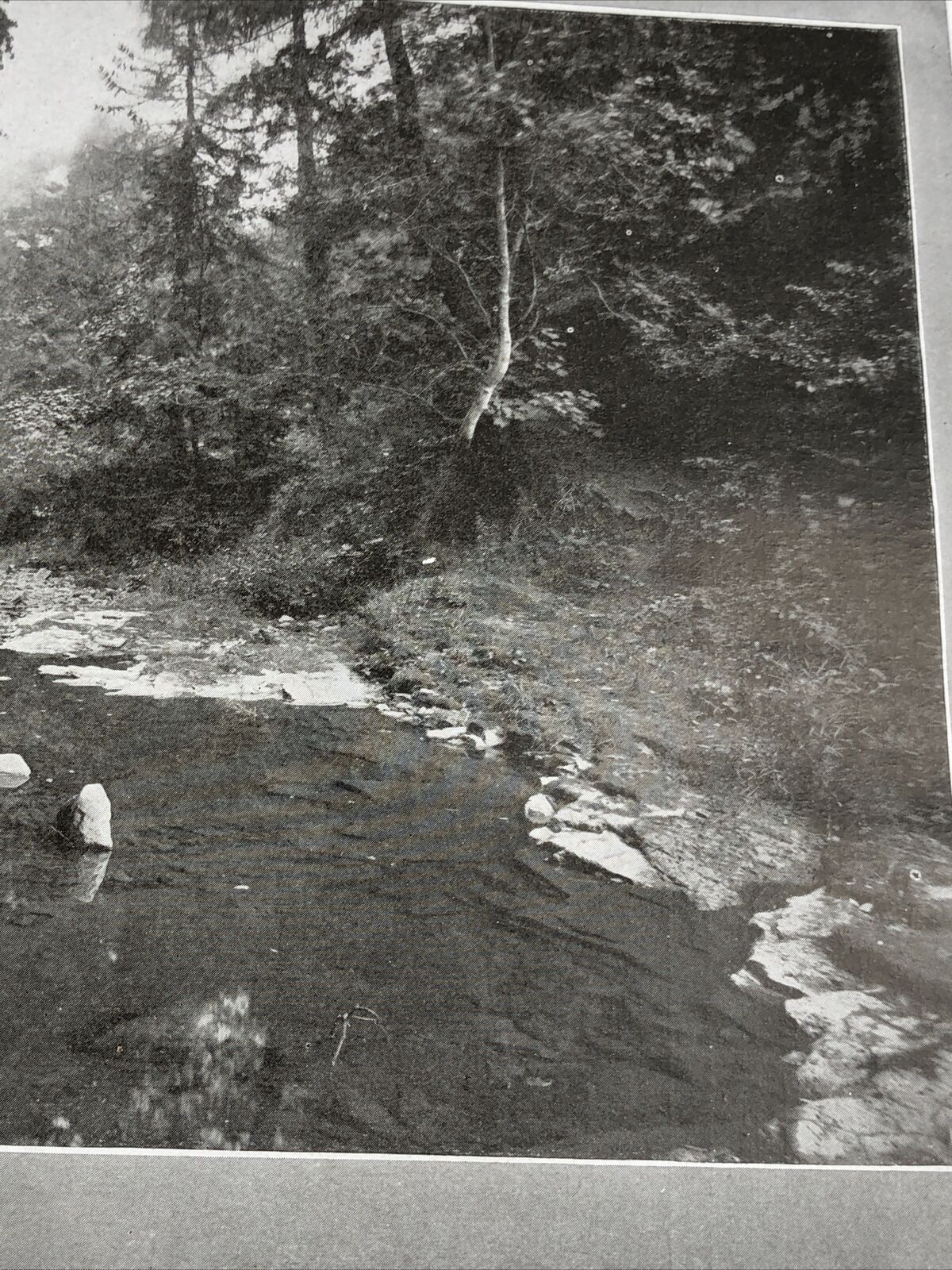 Picture 11 of 11