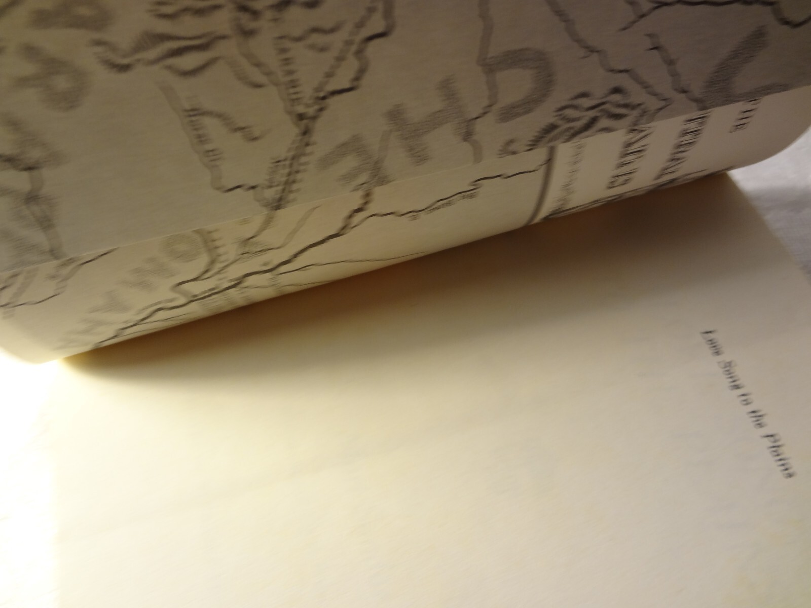 Picture 10 of 16