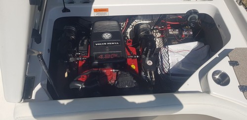 motorboot mit trailer - Bild 7 von 18